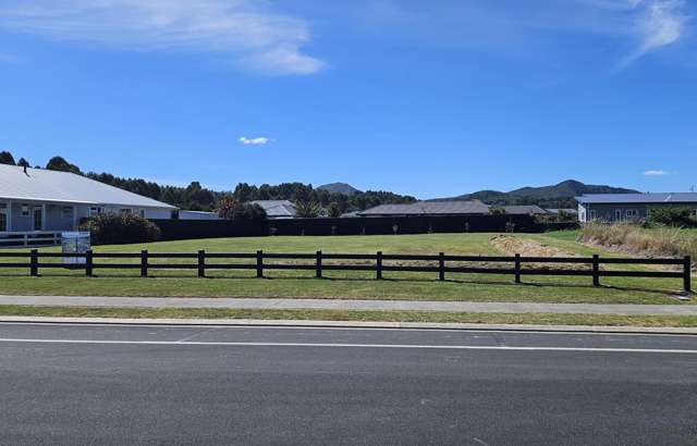 6 Pukatea Lane Kinloch_3