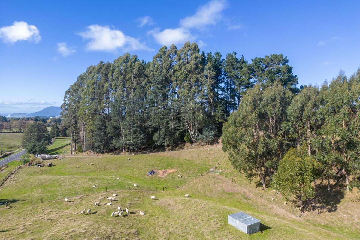 1029 Poihipi Road_1