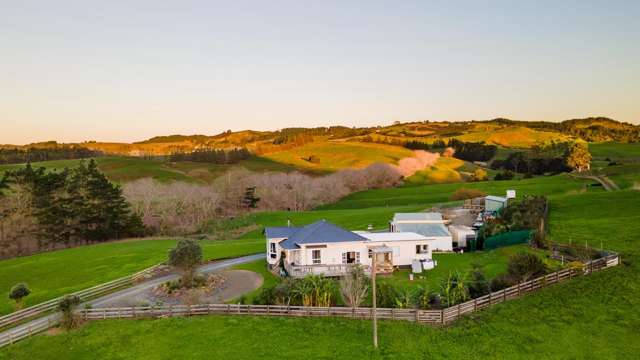 306 West Coast Road Warkworth_2