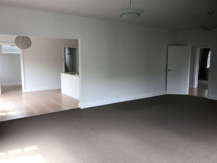 60 Hamilton Avenue Ilam_5