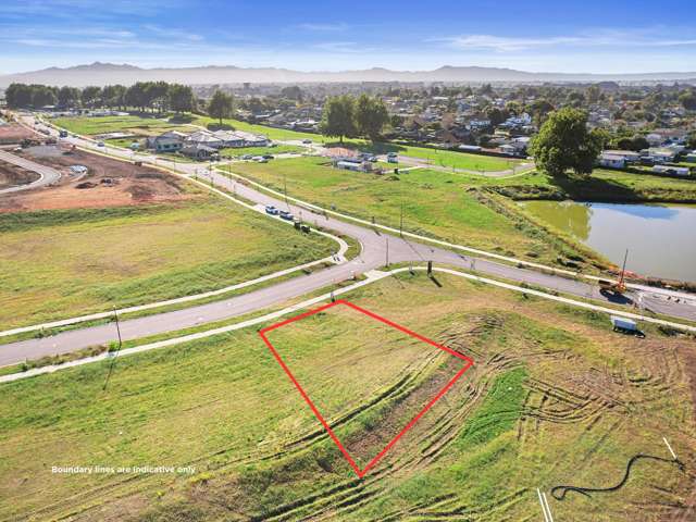 3 Barberry Drive Morrinsville_2