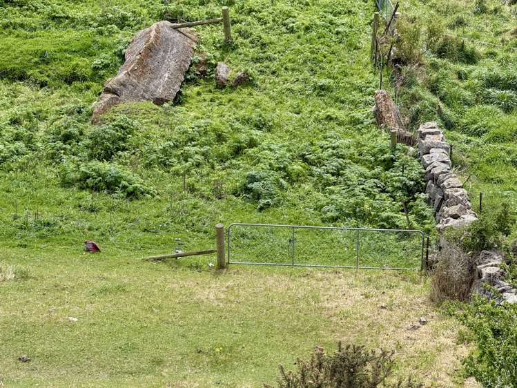 Lot 3 Fortification Road Weston_15