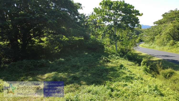 Address withheld Savusavu_12