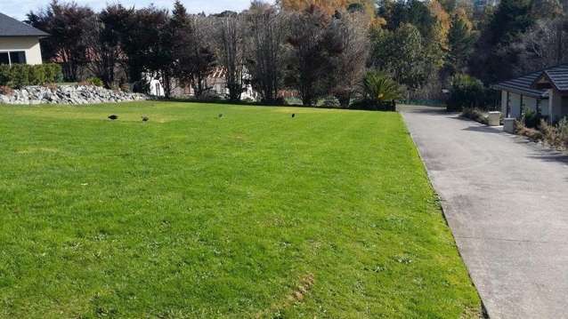 83 Sovereign Street Flat Bush_1