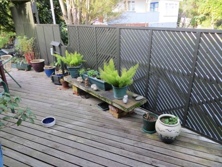 20 Whitaker Street Te Aroha_32