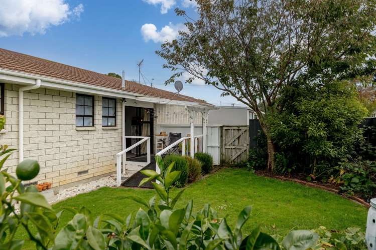 36 Criterion Street Bulls_17