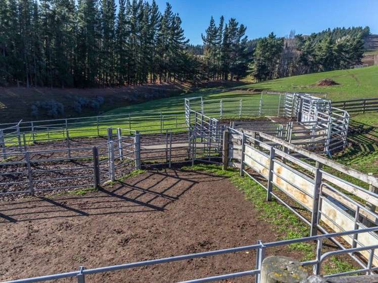 1006 Glenmark Drive Waipara_18