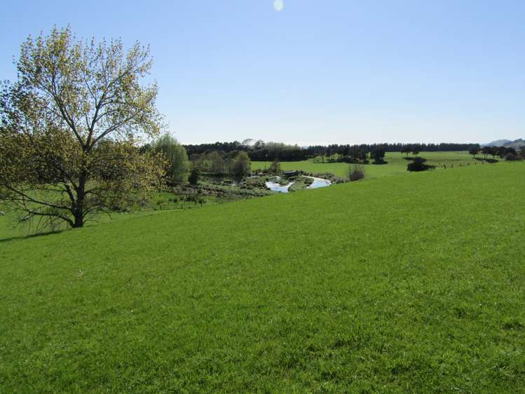 575 East Taratahi Road Carterton_11