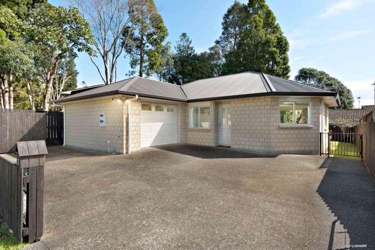 3 Mcnally Road Pukekohe_4
