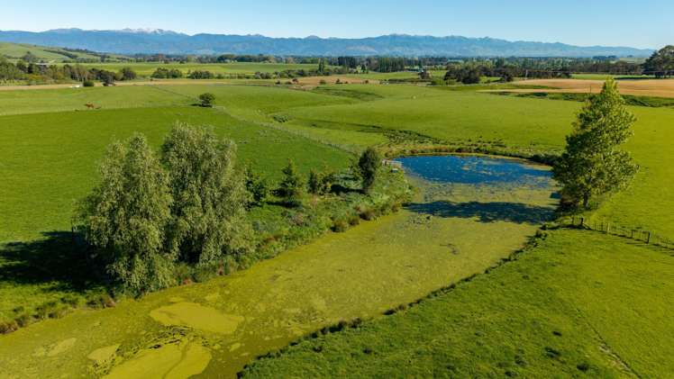 1572 Ponatahi Road Carterton_6