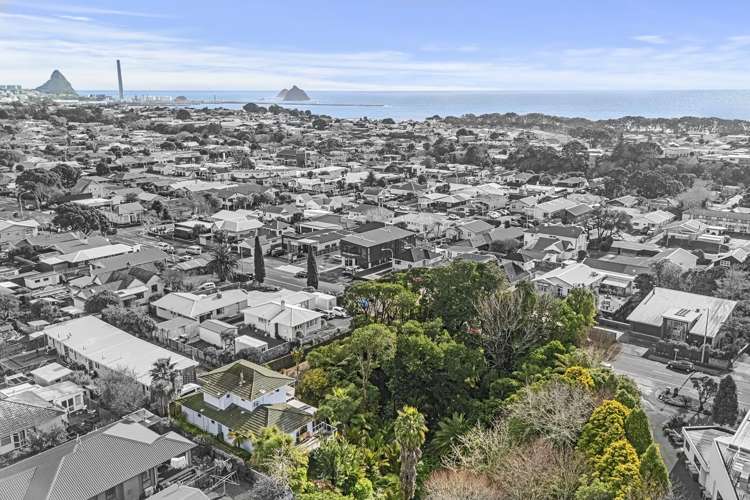 105 Vivian Street New Plymouth_23