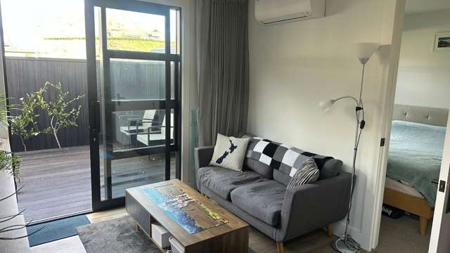  21 Alps View Place Lake Hayes Estate_3