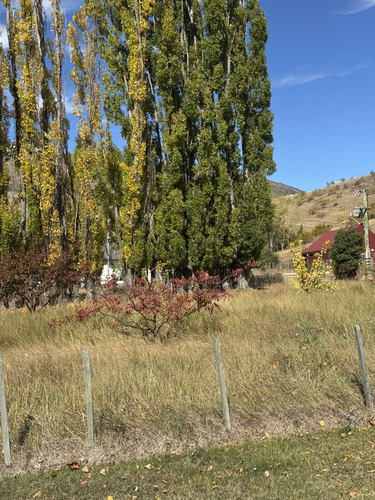 3 Omarama-Lindis Pass Road Omarama_6