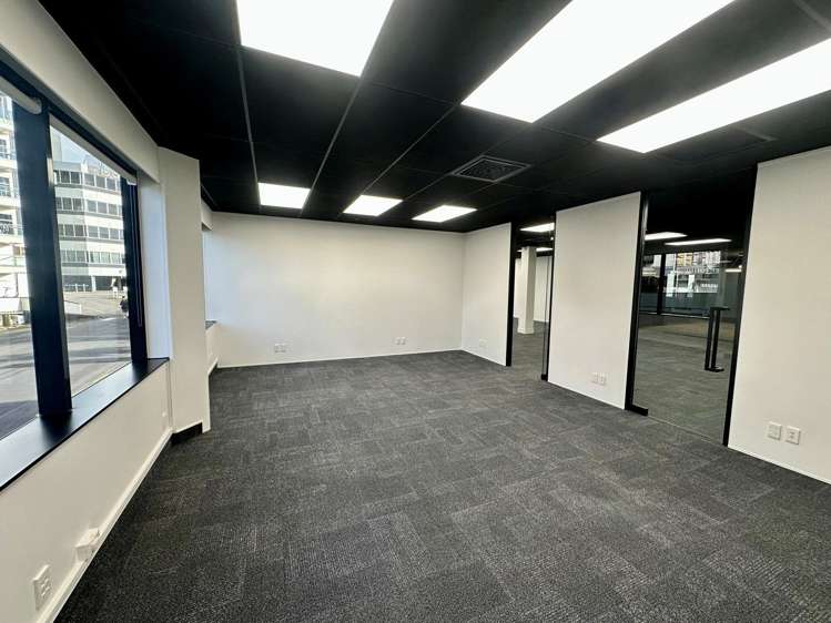 9A Hargreaves Street Freemans Bay_6