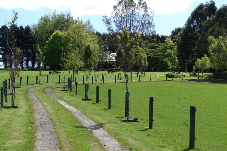 488 Woodlands Road Rimu_14