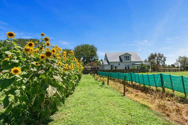2179 State Highway 16 Helensville_7