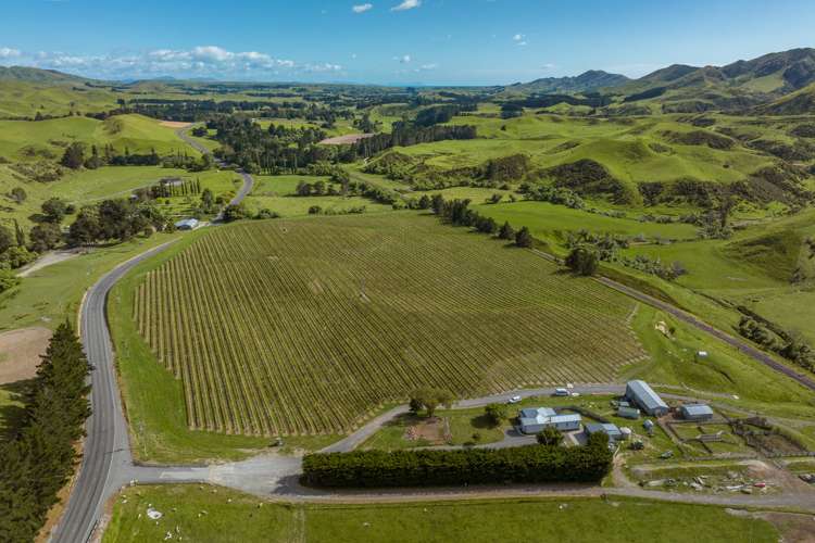 7797 State Highway 1 Ward_11