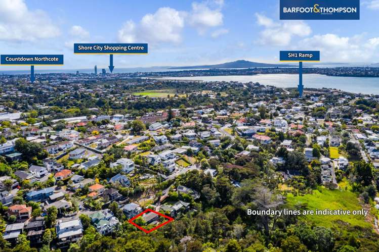 25a Bush View Lane Northcote Point_20