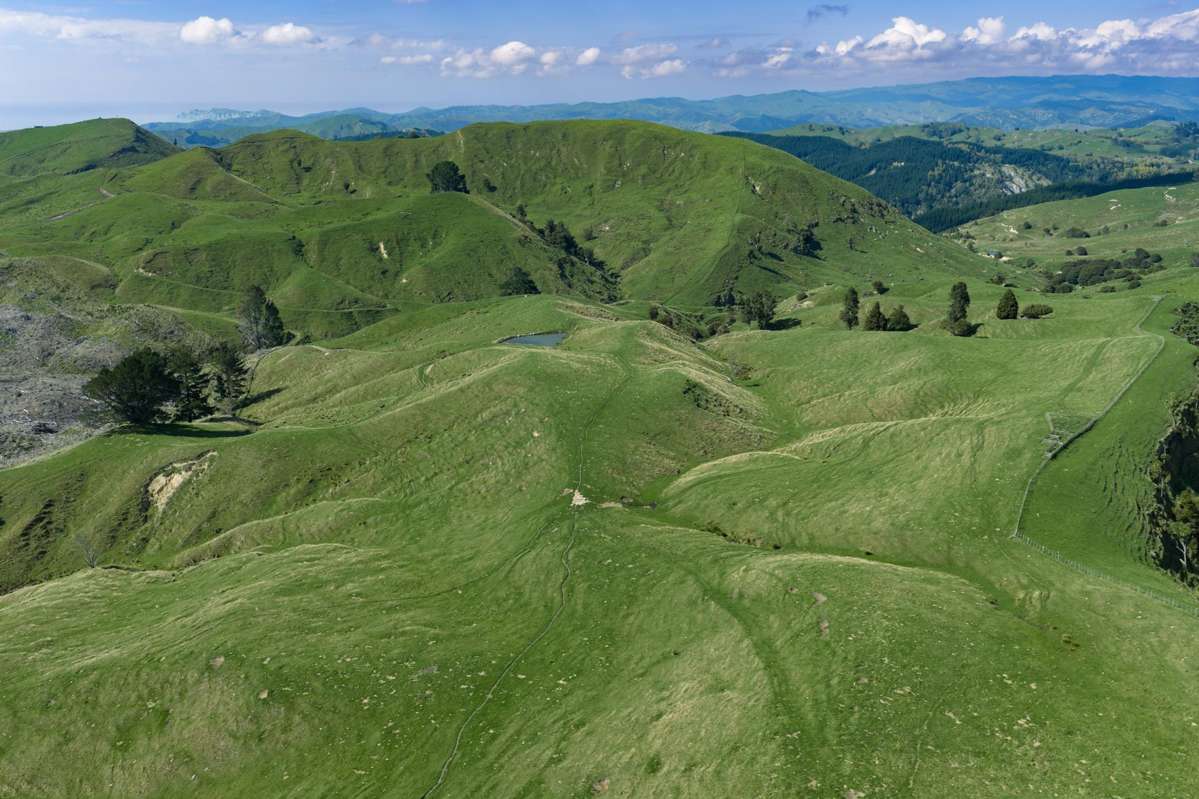 1678 Tiniroto Road_0