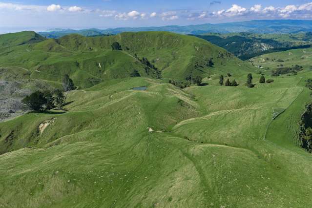 The Laurels – strategic scale, prime location