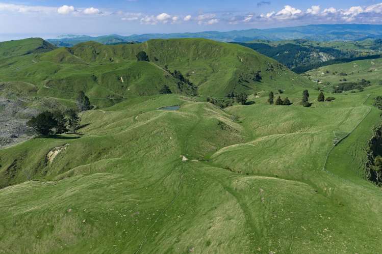 1678 Tiniroto Road Waerenga-O-Kuri_0