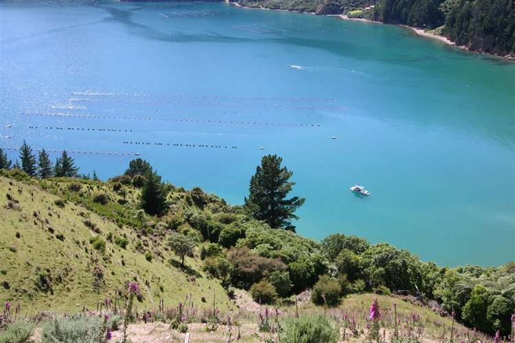 Admiralty Bay Marlborough Sounds_6