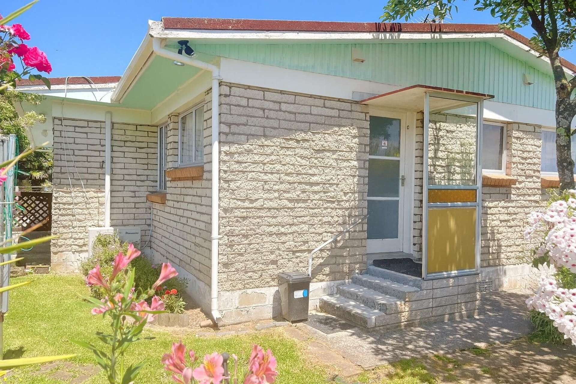 412B Willoughby Street Thames_0