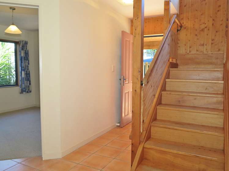 5a Selwyn Saint Pohara Kahurangi National Park_9