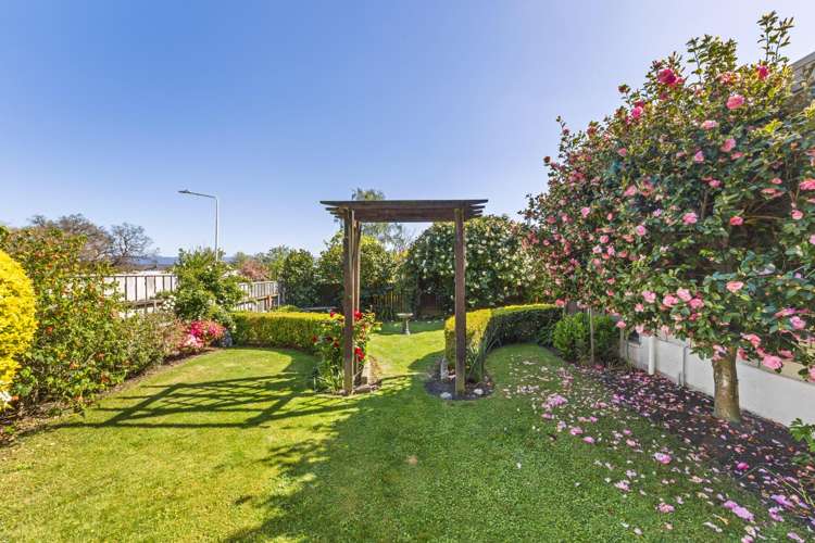 217 Weld Street Witherlea_23