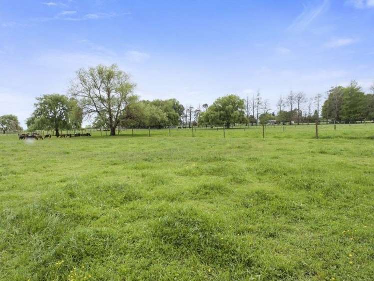 3249 State Highway 26 Morrinsville_14