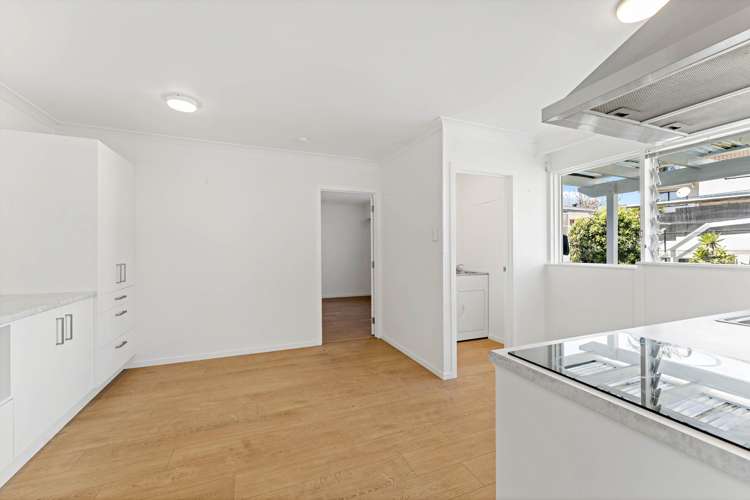 4 Rawalpindi Street Mt Albert_9