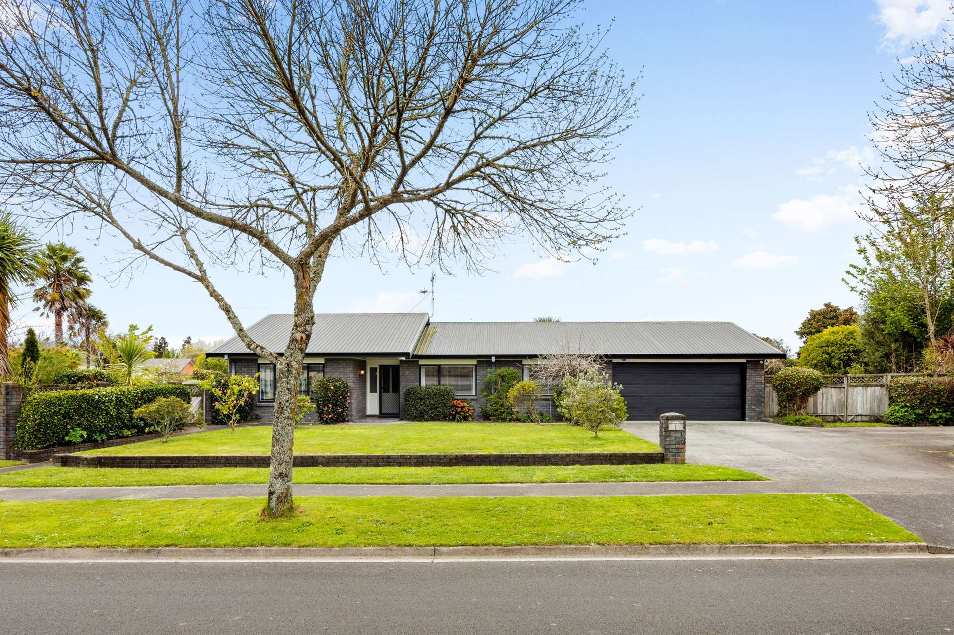 1 Halcione Close Flagstaff_0