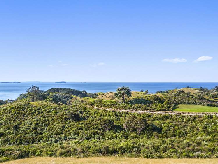 306 Sea View Road - Wawata Estate Waiheke Island_8