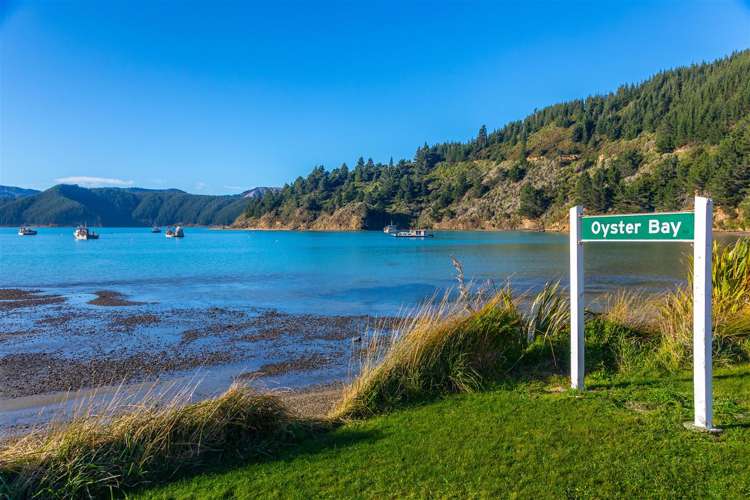 1476 Port Underwood Road Oyster Bay_1