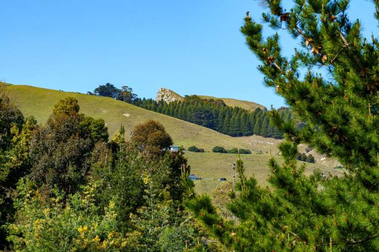 224 Durham Drive Havelock North_11