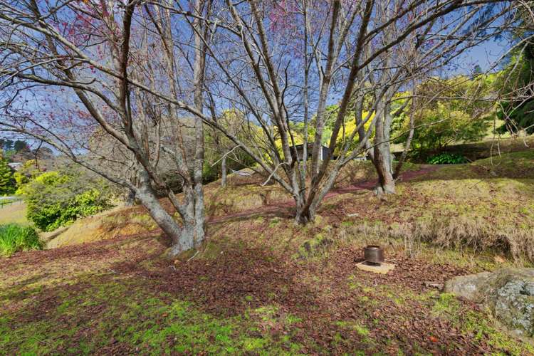 9 Corbett Drive Te Puna_24