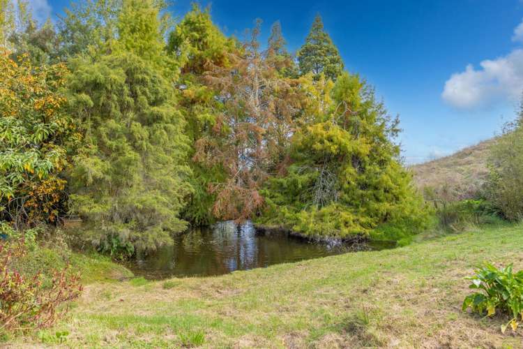 1610 Cambridge Road Te Awamutu_31