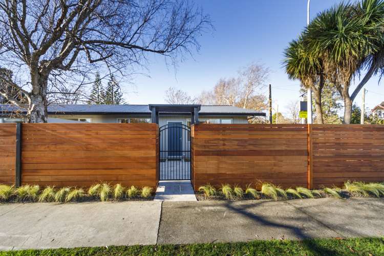 307 College Street West End_14