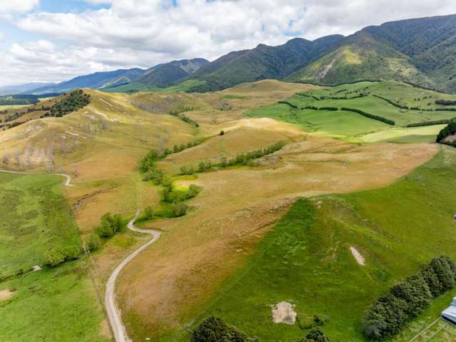 463 Gull Flat Road, Kereru Kereru_2
