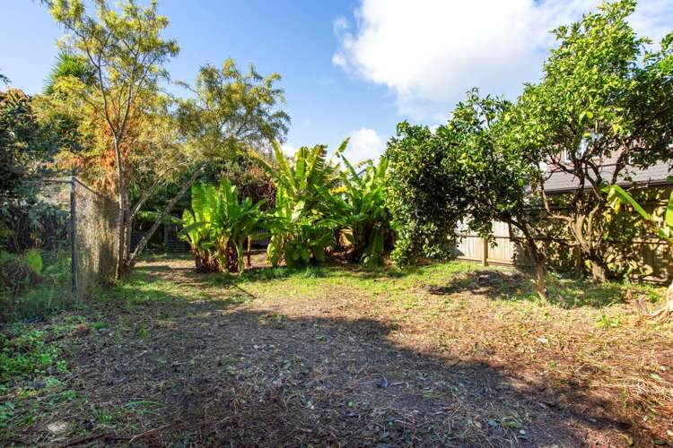 37 Mead Street Avondale_14