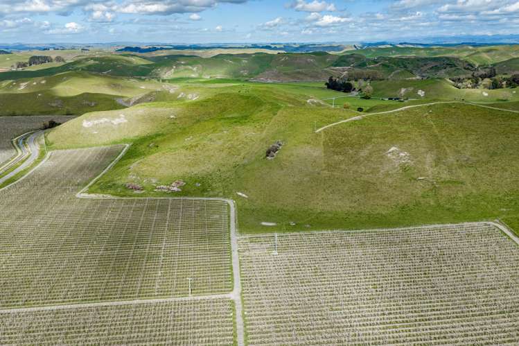 268 Moteo Pa Road Puketapu_10