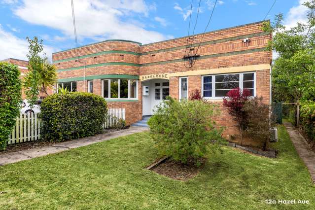 12a Hazel Avenue Mount Roskill_2