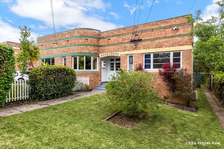 12a Hazel Avenue Mount Roskill_2