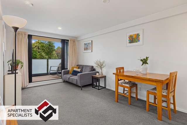 250 Richmond Road Grey Lynn_1