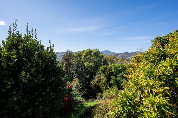 24 Victoria Heights Stepneyville_29