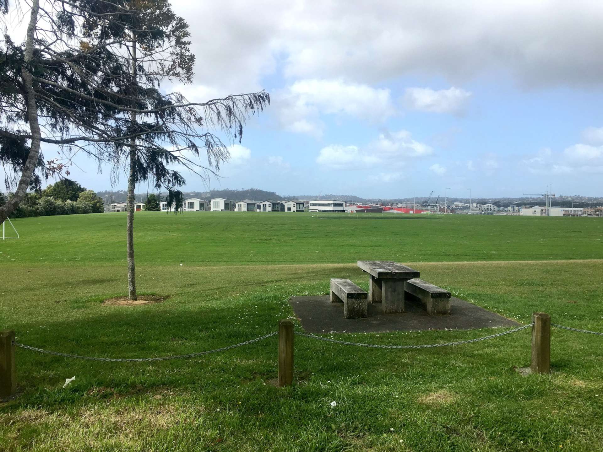 20 Memorial Park Lane Hobsonville_0