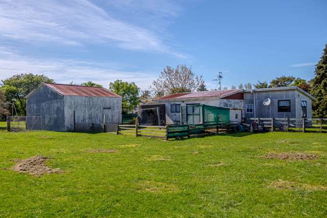 3865 State Highway 2 Carterton_4