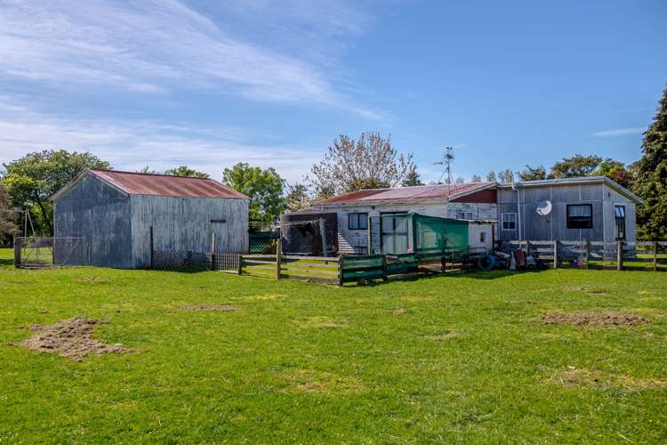 3865 State Highway 2 Carterton_4