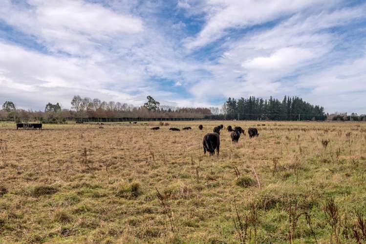 14 Country Place Allenton_21