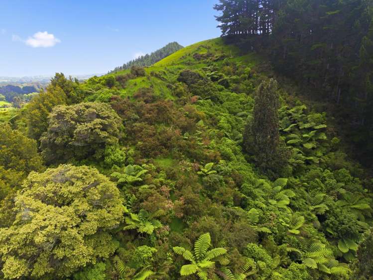 258 Waitohu Valley Road Otaki_46